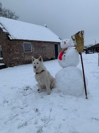 Sneeuwpop met Wolf